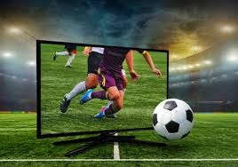 洛里：温哥华的人造草皮质量太差，在这样的场地比赛不可接受